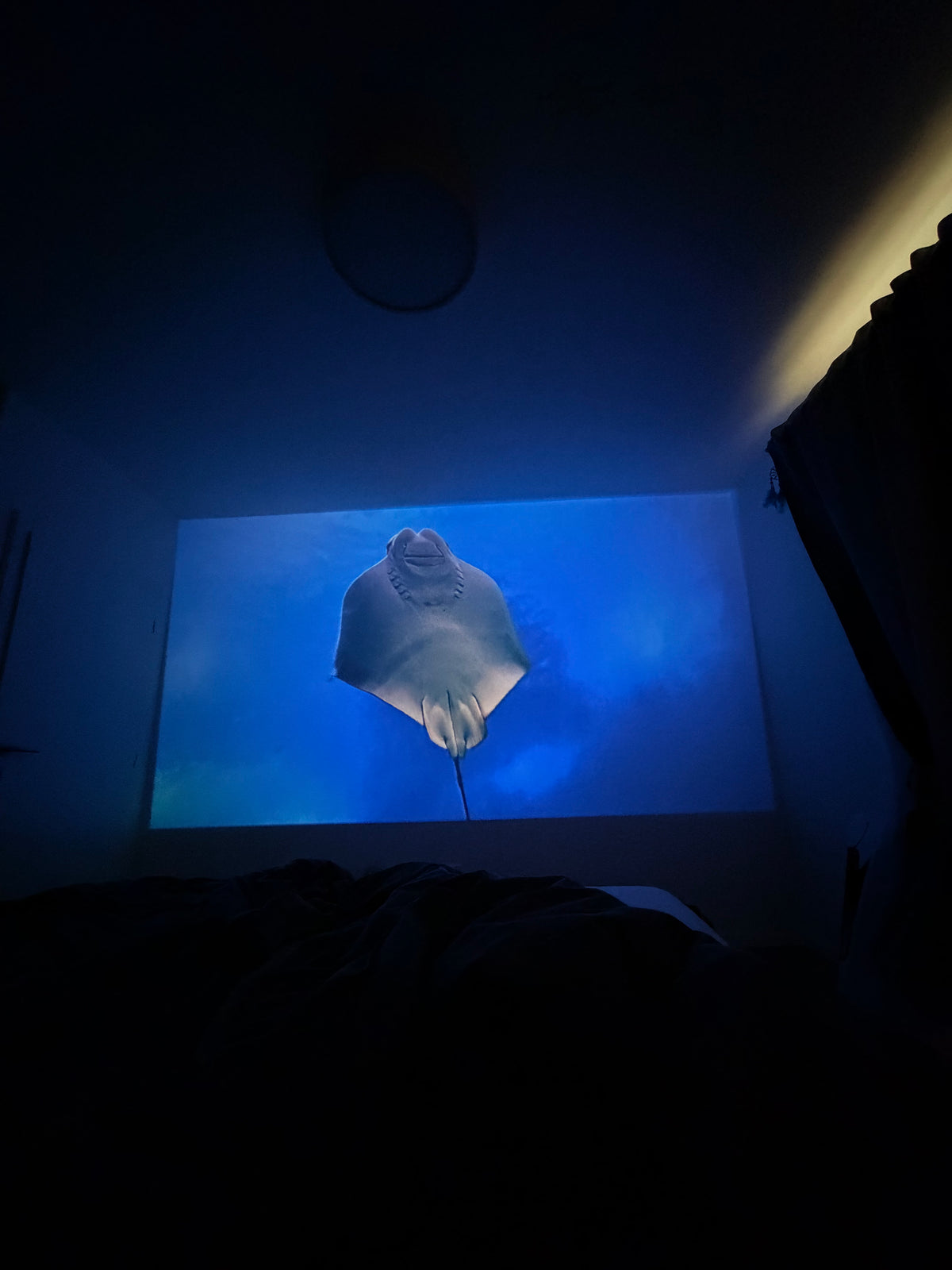 SkyDreamy™ FHD Projector