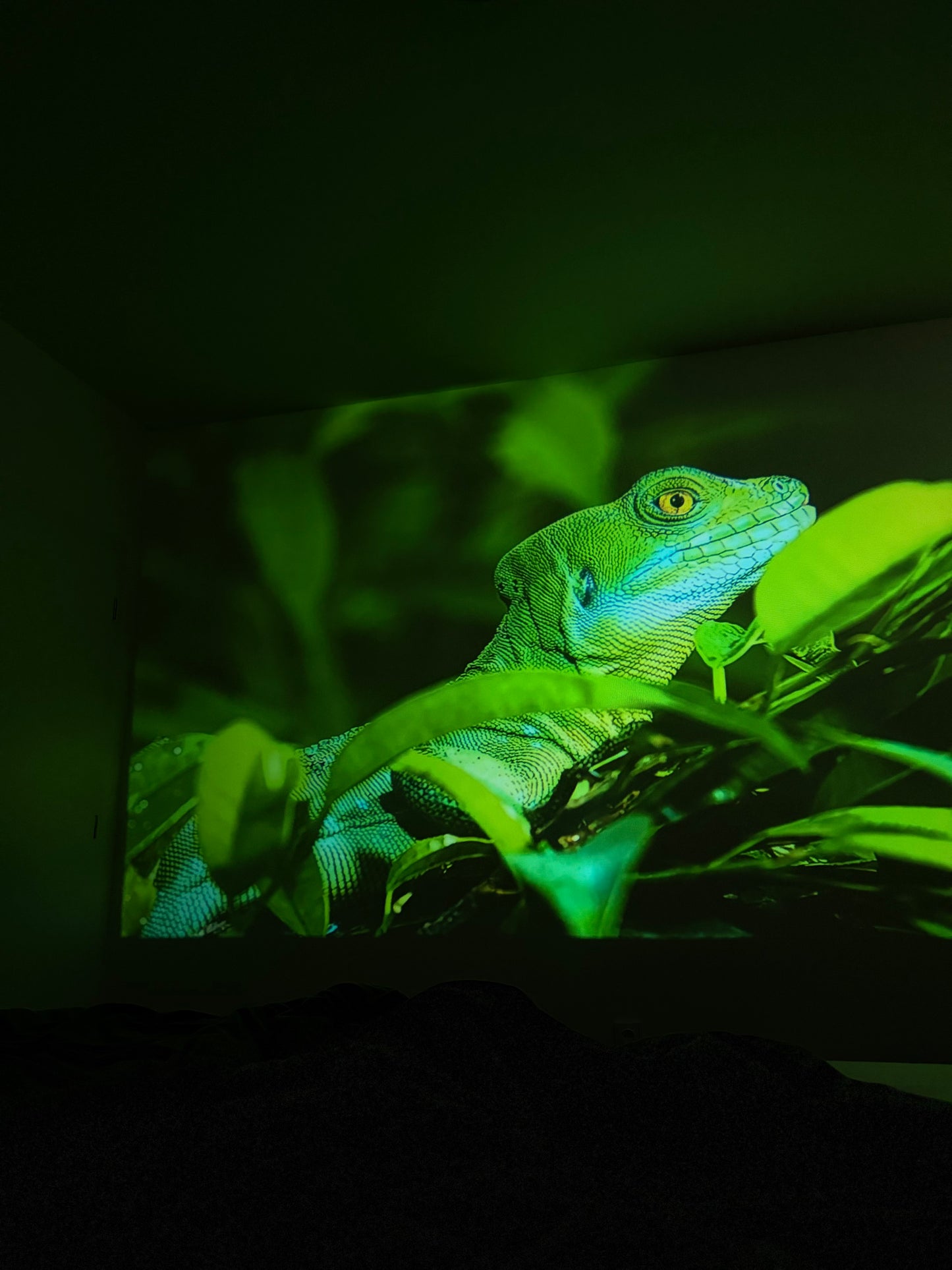 SkyDreamy™ FHD Projector