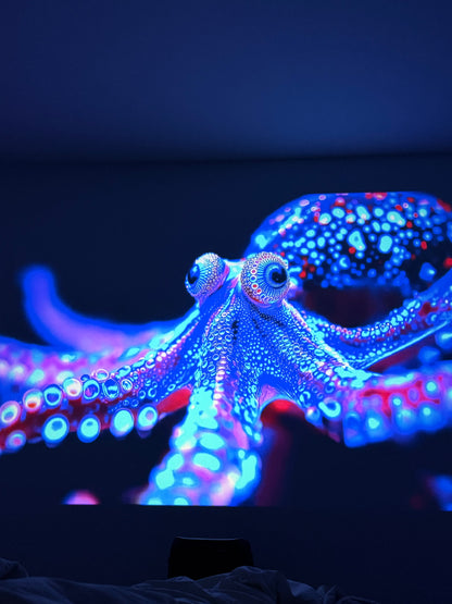 SkyDreamy™ FHD Projector